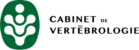 Cabinet de Vertébrologie